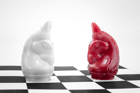 Alone knight horse of chess charactor on board isolated on white backgroundの写真素材