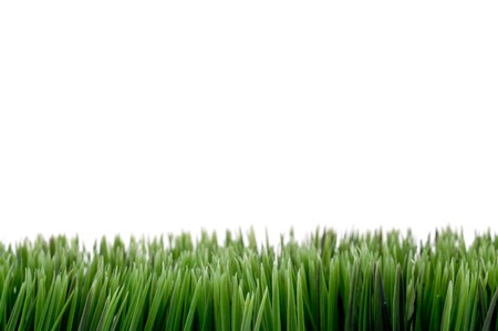 Image with green grass at the bottom, white space above for copy.の写真素材