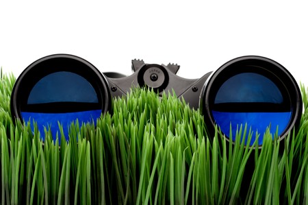 Horizontal close-up of binoculars on green grass with a white backgroundの写真素材