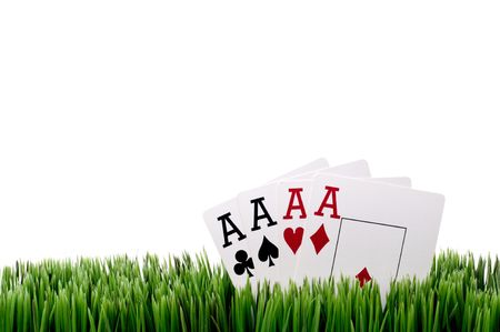 a horizontal image of four ace playing cards in grass with a white backgroundの写真素材
