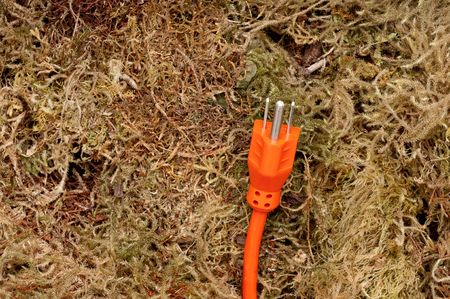 An orange extension cord on moss