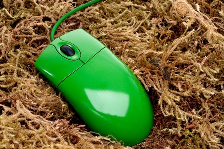 horizontal close up of a green computer mouse on mossの写真素材