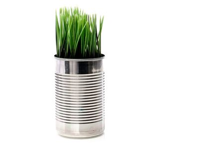 Horizontal image of green grass growing from a recyled canの写真素材
