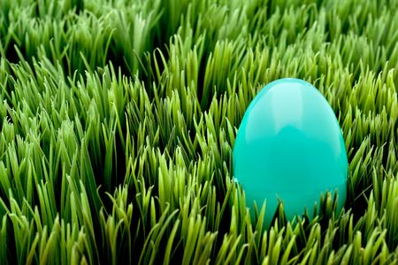 Horizontal image of a turquoise Easter egg on green grassの写真素材