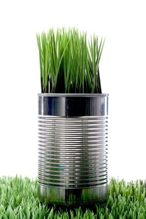 Green grass growing from a recycled aluminum can on grassの写真素材