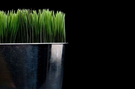 Horizontal close up of green grass in a metal containerの写真素材
