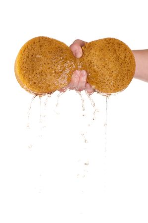 Vertical image of wringing the water out of a sponge on whiteの写真素材