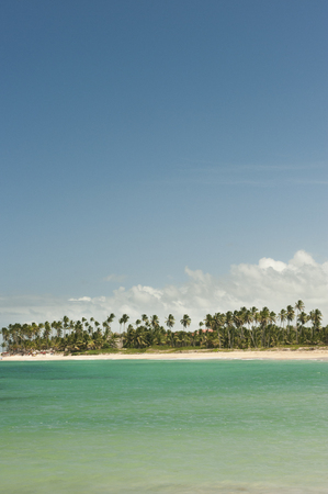 Tropical island with palm trees and warm watersの写真素材