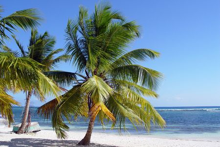 Bayahibeの写真素材