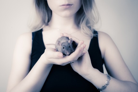 The girl is holding a rat in her hands. The rat looks at the cameraの写真素材