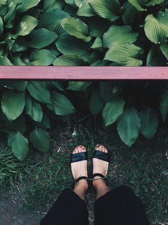 Ground with lots of plants, ferns, lush green moss. Beautiful background of natural floor with female and male feet, legs and shoes. Very colorful and high contrast textured trendy organic backgroundの写真素材