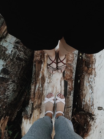 Female feet in sandals stand on a tree in the forest. Forest nature. Stroll. Vertical shotの写真素材