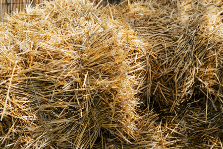 Hay is piled on the ground and driedの写真素材