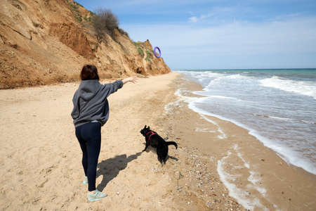 Labrador black dog pet playing on the beach by the sea. High quality photoの写真素材