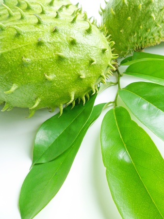 Tropical soursop fruits with green leaves on white backgroundの写真素材