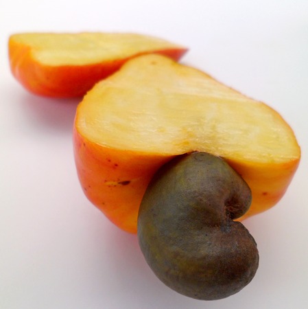 Cashew apple cut open on white backgroundの写真素材