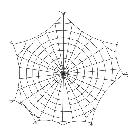 Spiderweb vector background. Halloween design. Cobweb decor isolated on the white.のイラスト素材