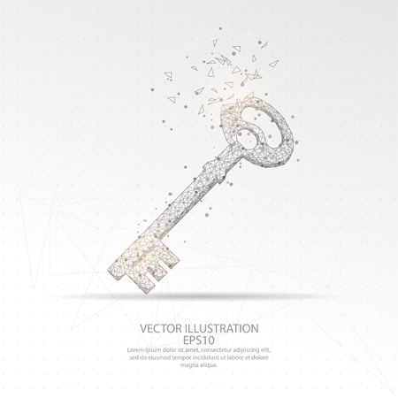 Digitally drawn key low poly wire frame on white background. Abstract connection lines polygon with geometry triangle.のイラスト素材