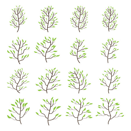 Set of trees with branch and leaves art decoration isolated vector illustration on white background.のイラスト素材