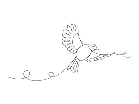 Bird in continuous one line art drawing isolated vector illustration on white background.のイラスト素材