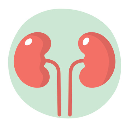 Red kidney icon on round green background isolated flat style design on white background.のイラスト素材