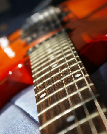 Electric Guitar Fretboard