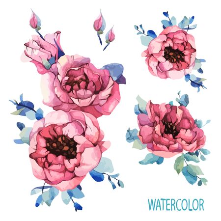 Watercolor set garden roses, pink peony, navy blue leaves, spring, summer elements. Floral, flowers decorations greeting, invitation, holiday. Vector stock design illustration on isolated background.のイラスト素材
