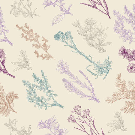 Herbal seamless pattern. Medical forest vintage plants. Can be used like a texture and fabric print. Herbs design for cosmetics, store, beauty salon, natural and organic products. Vector illustration.のイラスト素材