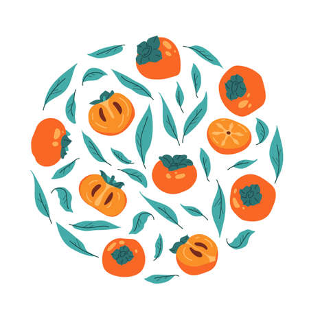 Circular set of persimmon with leaves. Collection of fruit persimmon isolated for print. Decoration for Korean Thanksgiving Day and Chuseok. Traditional element autumn harvest. Vector illustration.のイラスト素材