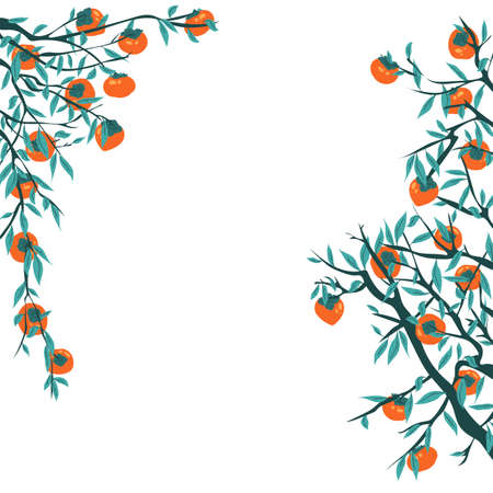 Persimmon tree branches with fruits and leaves. Frame for Chuseok with foliage and autumn harvest....