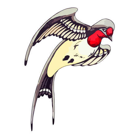 Flying swallow in watercolor style. Swift hovers in the air to decorate a postcard or flyer. Spring bird in flight with long feathers and tail. Natural element for design. Vector isolated illustrationのイラスト素材