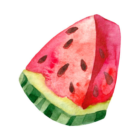 Ripe watermelon in watercolor painting on paper texture. Design illustration of diet sweet food. Slice melon on white isolated background. Summer vitamin berry for decor of seasonal menu or postcardの写真素材