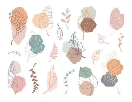 Set of foliage with modern drops in doodle style. Collection of leaves for decoration and design on isolated white backdrop. Pastel colors for autumn pattern, frame, greeting card. vector illustrationのイラスト素材