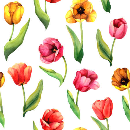 Seamless pattern of tulips with leaves for celebration design. Watercolor flowers illustration on white isolated background. Summer or spring decoration with bud blossom for wedding invitation, coverの写真素材