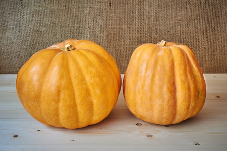 Autumn pumpkins on a wooden background in a rustic styleの写真素材