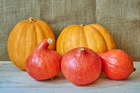 Autumn red and orange pumpkins on a wooden background in a rustic style. Beautiful autumn Pumpkins Halloween background with place for textの写真素材
