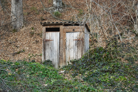 Old wooden outhouse in the forestの写真素材
