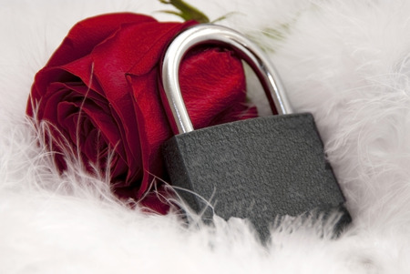 locks and red rose on white wedding tissueの写真素材
