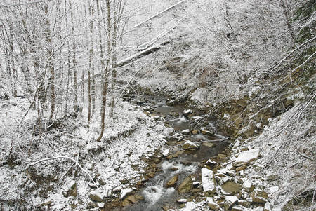 Mountain river in winter landscape. Winter concept. Ukraine, Yaremche.の写真素材