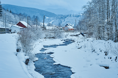 Winter mountain river after the snowfall. Forest covered in snow. Cold toneの写真素材