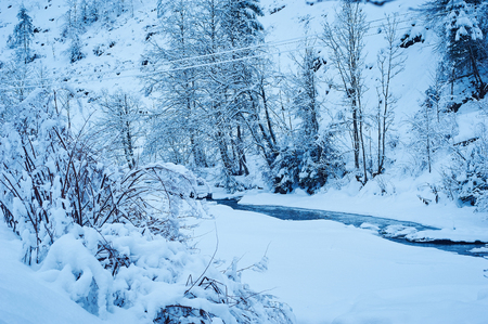 Winter mountain river after the snowfall. Forest covered in snow. Cold toneの写真素材