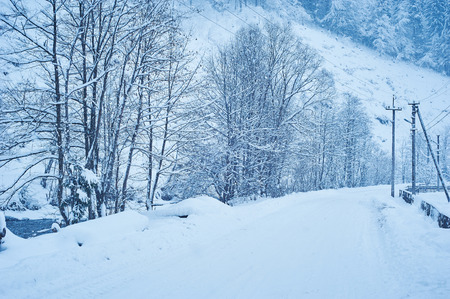 Winter road after the snowfall through forest covered in snow. Road along the fence. Cold toned.の写真素材