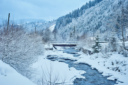 Winter mountain river after the snowfall. Forest covered in snow. Cold toneの写真素材