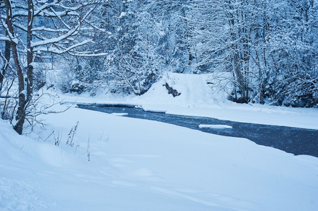 Winter mountain river after the snowfall. Forest covered in snow. Cold toneの写真素材