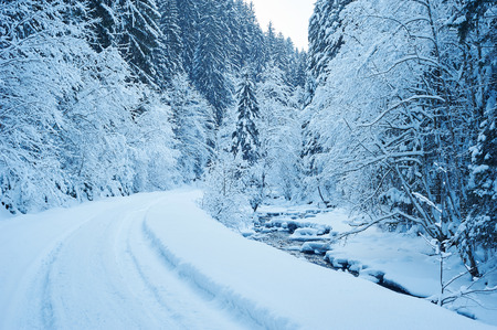 Winter road after the snowfall through forest covered in snow. Mountain riverの写真素材