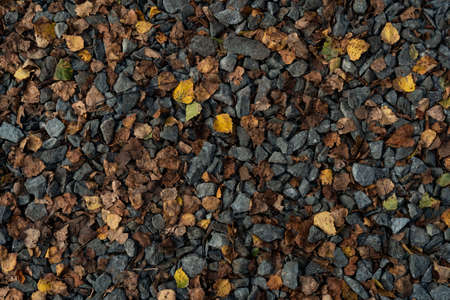 Crushed stones with yellow leavesの写真素材