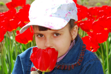 pretty child with red tulipsの写真素材