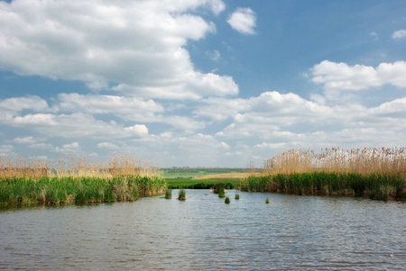 river landscape