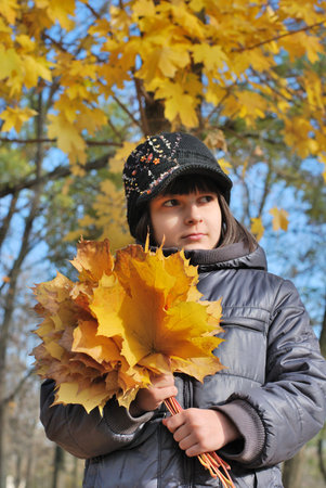 pretty child pick up of leaves in autumn parkの写真素材