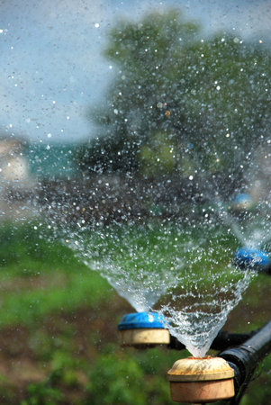 Irrigation system throwing water dropsの写真素材